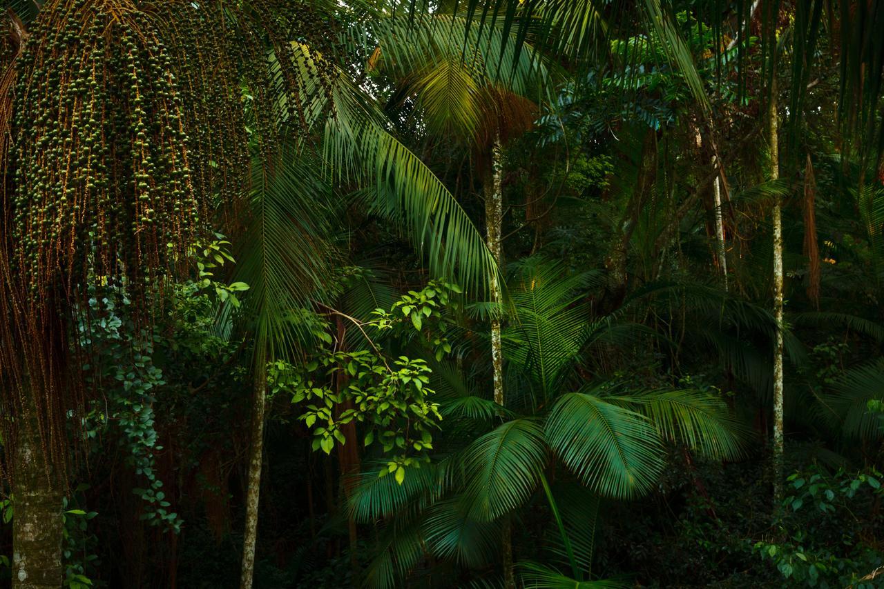 Yacutinga Lodge Puerto Iguazu Luaran gambar