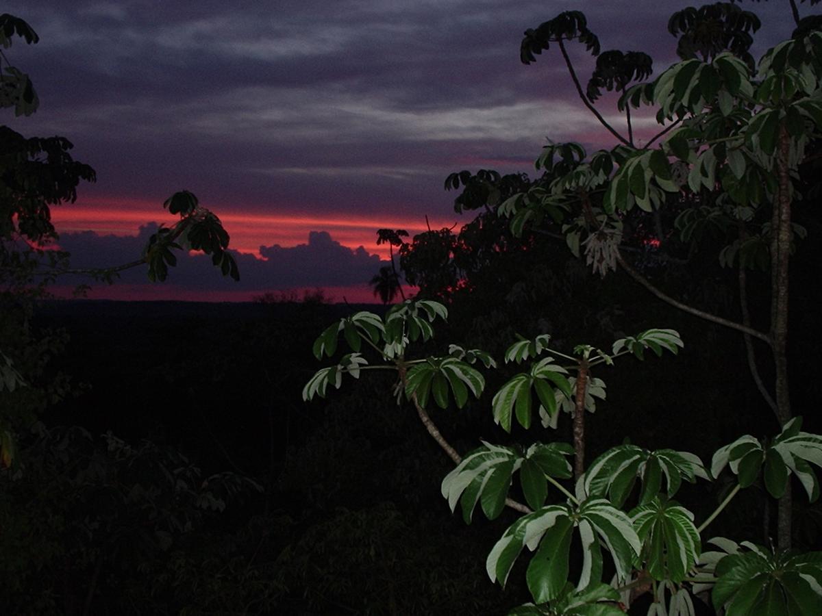 Yacutinga Lodge Puerto Iguazu Luaran gambar